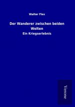 Der Wanderer zwischen beiden Welten