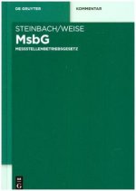 Messstellenbetriebsgesetz
