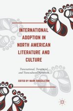 International Adoption in North American Literature and Culture