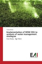 Implementation of WSM DSS to analysis of water management strategies