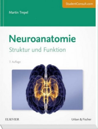 Neuroanatomie