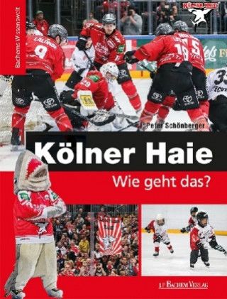 Kölner Haie - Wie geht das?