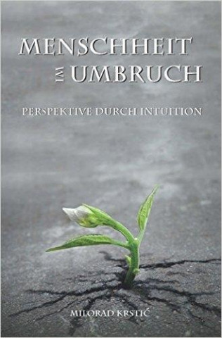 Menschheit im Umbruch. Perspektive durch Intuition