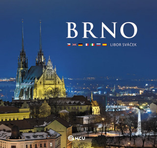 Libor Sváček - Brno