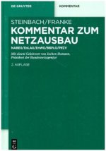 Kommentar zum Netzausbau