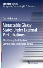 Metastable Glassy States Under External Perturbations