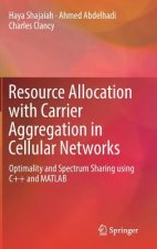 Resource Allocation with Carrier Aggregation in Cellular Networks