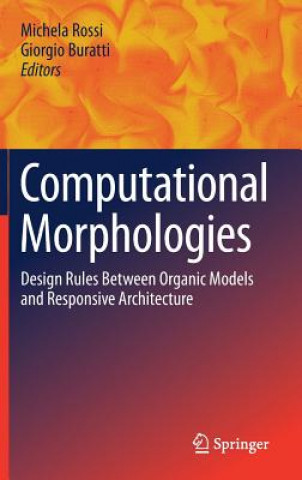 Computational Morphologies