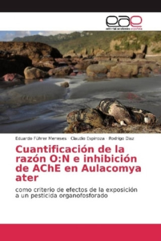Cuantificación de la razón O:N e inhibición de AChE en Aulacomya ater
