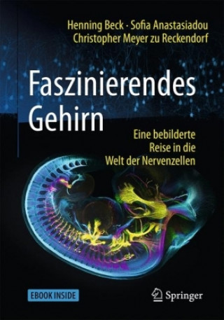 Faszinierendes Gehirn, m. 1 Buch, m. 1 E-Book