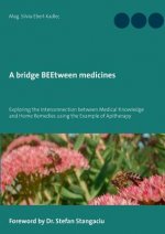 bridge BEEtween medicines