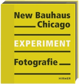 New Bauhaus Chicago