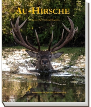 Au-Hirsche