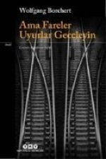 Ama Fareler Uyurlar Geceleyin