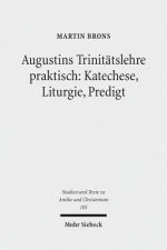 Augustins Trinitatslehre praktisch: Katechese, Liturgie, Predigt
