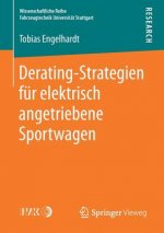 Derating-Strategien Fur Elektrisch Angetriebene Sportwagen