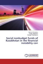 Social nonbudget funds of Kazakhstan in the financial instability con