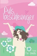 Pulsbeschleuniger