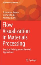 Flow Visualization in Materials Processing