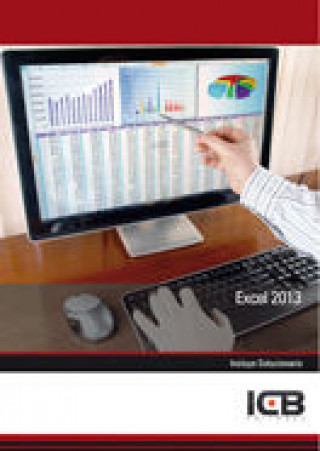 Manual Excel 2013
