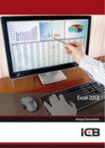 Manual Excel 2013