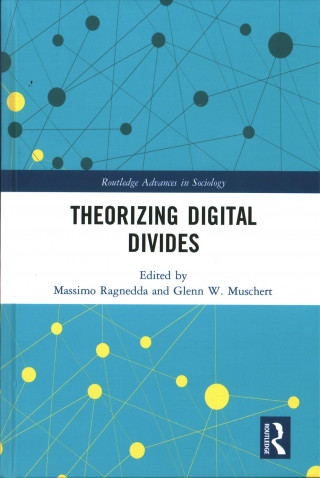 Theorizing Digital Divides