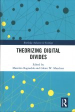 Theorizing Digital Divides