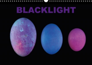 Blacklight 2018