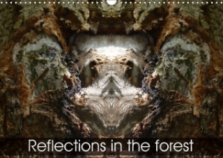 Reflections in the Forest 2018