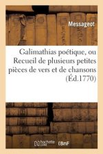 Galimathias Poetique, Ou Recueil de Plusieurs Petites Pieces de Vers Et de Chansons Sur