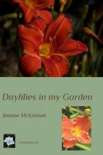 Daylilies in my Garden