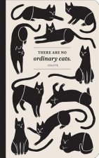There Are No Ordinary Cats