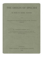 The Origin of Species: Sage Lined Journal