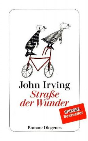 Straße der Wunder (John Irving,Hans M. Herzog)(Carte broșată)
