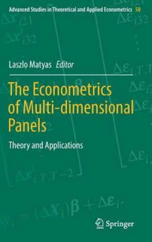 Econometrics of Multi-dimensional Panels