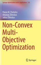 Non-Convex Multi-Objective Optimization