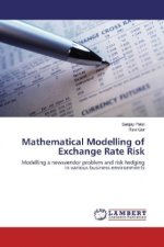 Mathematical Modelling of Exchange Rate Risk