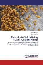 Phosphate Solubilizing Fungi As Biofertilizer