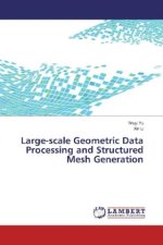 Large-scale Geometric Data Processing and Structured Mesh Generation