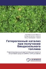 Geterogennyj kataliz pri poluchenii biodizel'nogo topliva