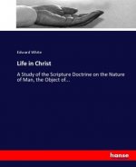 Life in Christ
