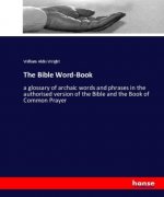 Bible Word-Book