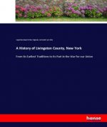 A History of Livingston County, New York