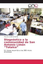Diagnóstico a la comúnunidad de San Antonio Limón 