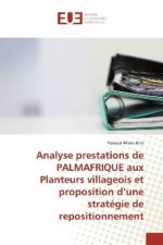 Analyse prestations de PALMAFRIQUE aux Planteurs villageois et proposition d'une stratégie de repositionnement