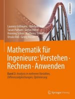 Mathematik fur Ingenieure: Verstehen - Rechnen - Anwenden