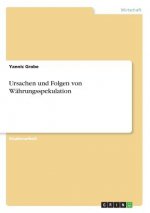 Ursachen und Folgen von Währungsspekulation