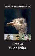 Birds of Sudafrika