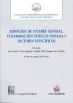 Servicios de interés general, colaboración público privada y sectores específicos