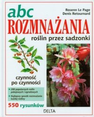 ABC rozmnazania roslin przez sadzonki